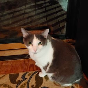 Meet your Posher, Lydia